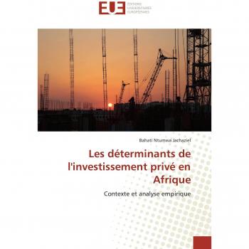 Jachaziel, Bahati Ntumwa: Les déterminants de l'investissement privé en Afrique