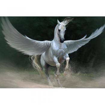 Broderie 5D Cheval Volant