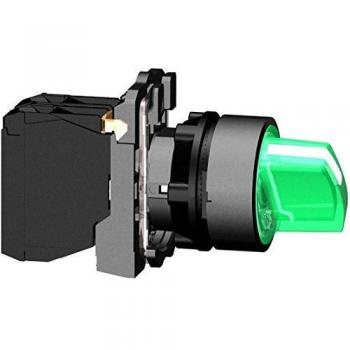 Interruptor Rotativo 2 Posiciones Schneider Electric