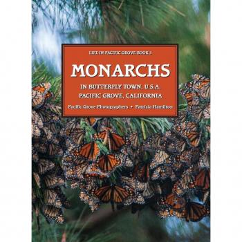 MONARCHS In Butterfly Town U.S.A. Pacific Grove California