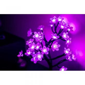 Luz Aura de Cerezo