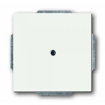 Disco Central Ciego con Soporte Busch-Jaeger 1742-884