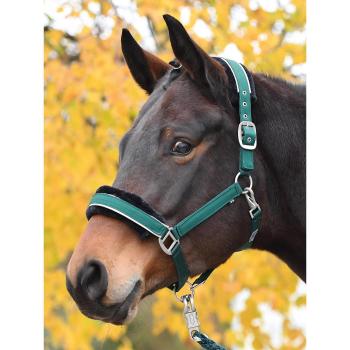 Busse Halfter CLASSIC
