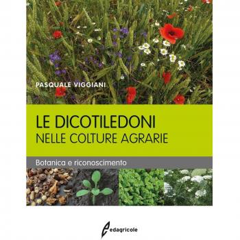 Le dicotiledoni nelle colture agrarie. Botanica e riconoscimento Pasquale Viggiani