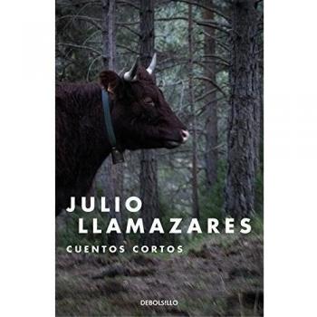 Cuentos cortos