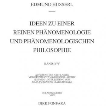 Ideen zu einer reinen Phänomenologie und phänomenologischen Philosophie. Zweites Buch: Phänomenologische Untersuchungen zur Konstitution und Wissensch