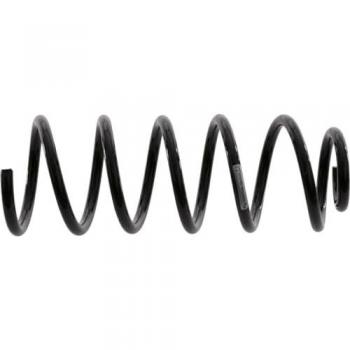 Sachs 994 Coil Spring