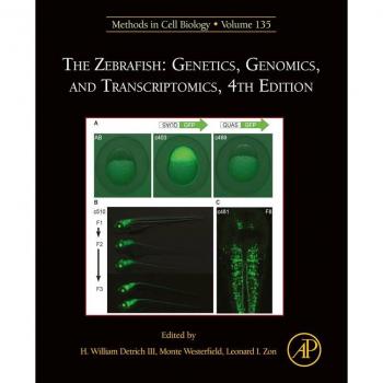 The Zebrafish: Genetics Genomics and Transcriptomics