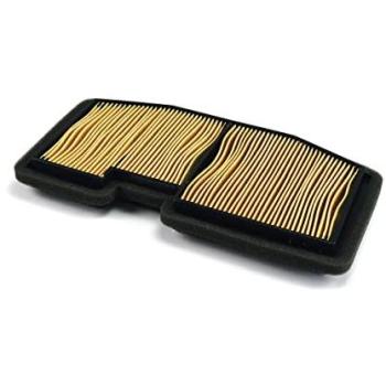 Triumph 675 Daytona Luchtfilter – Meiwa T23104