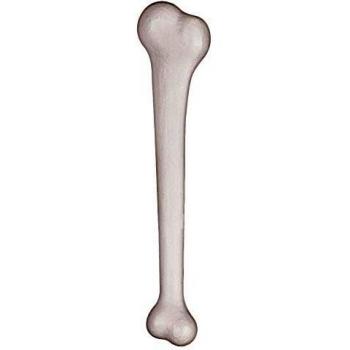 Fetiche Óseo 38 cm – Bone Gigante F581