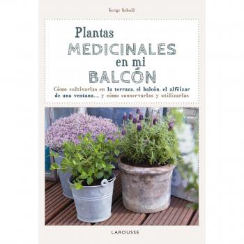 Plantas medicinales en mi balcón