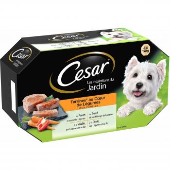CESAR Repas pour Chien