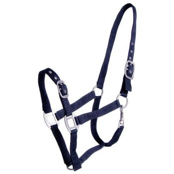 QHP Nylonhalfter verstellbar (Vollblut, Blau)