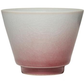 Single cup Kung Fu tea set