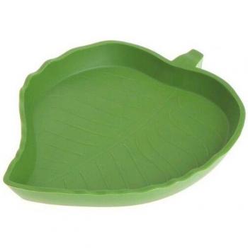 Mangeoire pour amphibiens
