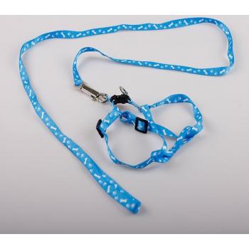 Harnais pour chiot avec laisse