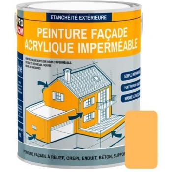 Peinture de Protection Façade PROCOM 10 ans