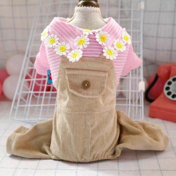 PetCircle Autumn Tie‑On Puppy Jacket