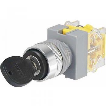 TRU COMPONENTS 90° Key Switch IP40