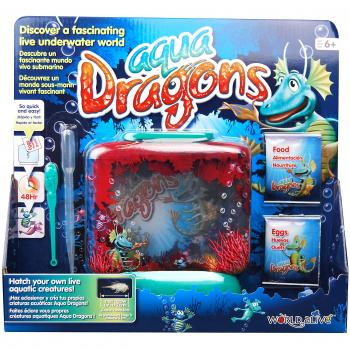 Jeu Aquatique Dragons de la Terre