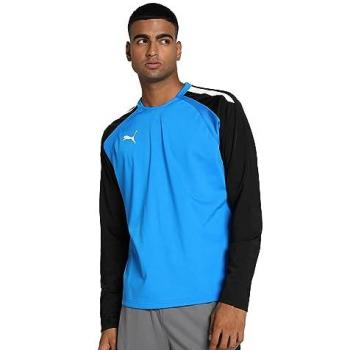 Puma TeamLIGA Herren Sweatshirt Blau
