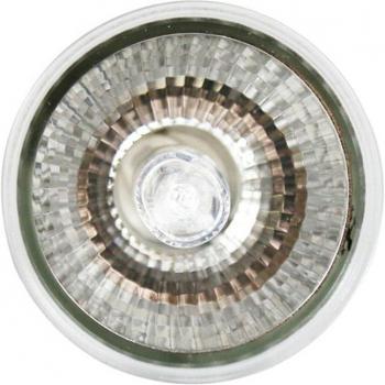 Kuulee UVB 3.0 Basking Lamp for Lizards