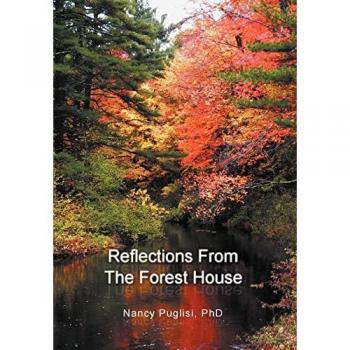 Reflections from The Forest House