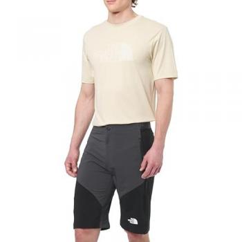 North Face Herrshorts Felik Slim Tapered Asfaltgrå/TNF Svart/NPF