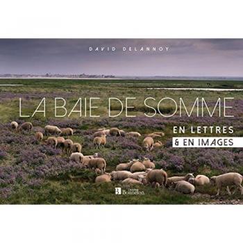 La baie de Somme