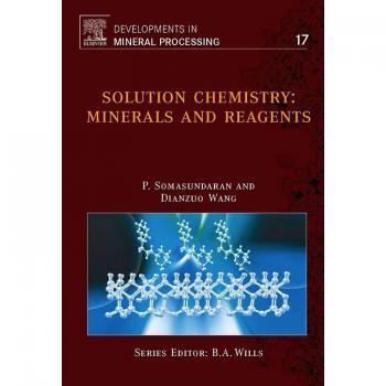 North Holland Publishing Co. Solution Chemistry: Minerals and Reagents, Volume 17 (Hardback)