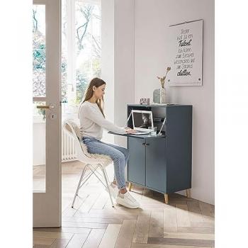 Schildmeyer Schreibtisch Serie 500, Breite 65,2 cm, Sekretär Aktenschrank mit ausklappbarer Schreibplatte