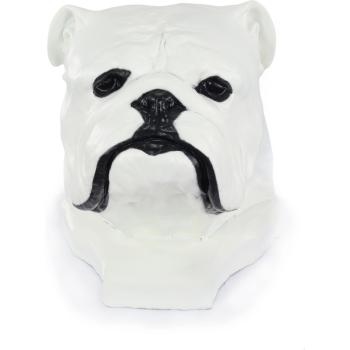 Grande testa di bulldog decorativa 45cm