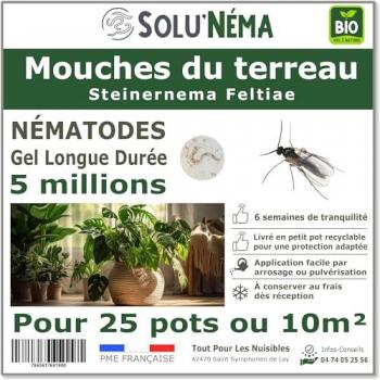SOLUNEMA