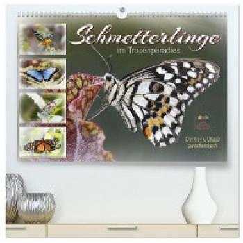 Premium Wandkalender 2024 Schmetterlinge im Tropenparadies DIN A2 quer