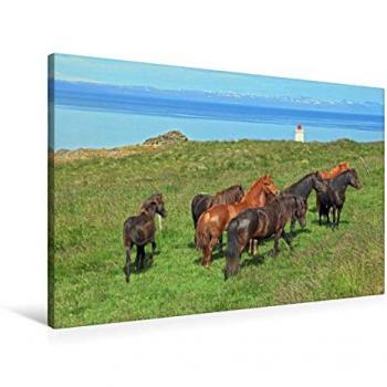 Islands Pferde Leinwand 90x60 cm – Hochwertiger Textilkalender