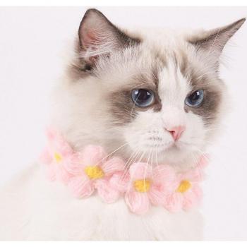 Babero floral para gatitos