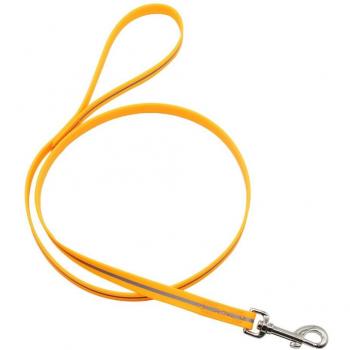 JanPet Odor-Resistant Dog Leash