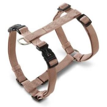 Taglia XL Pettorina Professional in Champagne