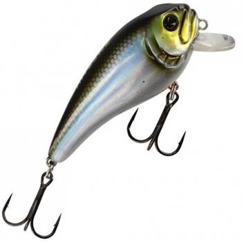 Westin FatBite Wobbler 5,5cm 8g Schwimmend Blueback Hering