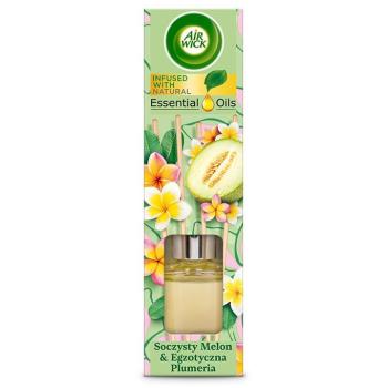 Encens aromatique Melon Juteux et Prune Mystérieuse