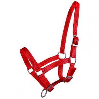 QHP Nylonhalfter Fohlen-Halfter 3fach verstellbar stark (Pony, Rot)