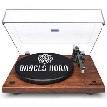 ANGELS HORN Vinyl Player – integrierter Phono‑Kanal