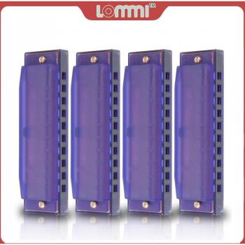10 Hole Mouth Organ Beginner Harmonica Set
