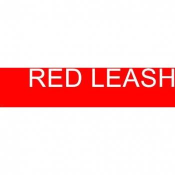 Nylon Dog Leash for Small Dogs