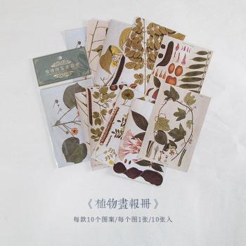 10pcs Forest Mushroom Scrapbooking Paper for DIY Projects