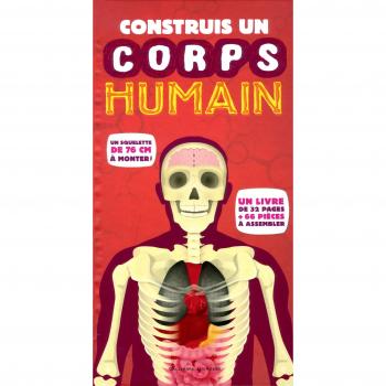 Construis un corps humain