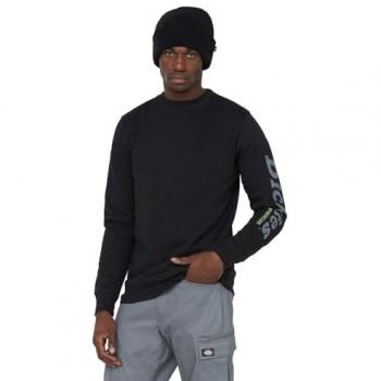 Dickies Hoodie Herren Schwarz 2XL