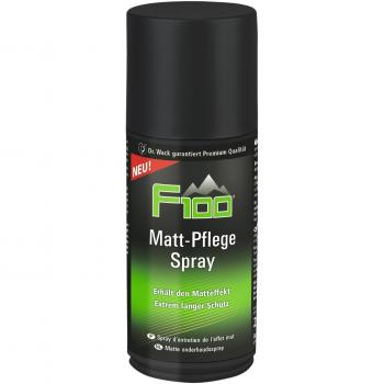 DR. WACK F100 Fahrrad Matt-Pflege Spray Fahrradpflege Radpflege 250 ml