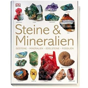 Steine & Mineralien: Gesteine, Mineralien, Edelsteine, Fossilien
