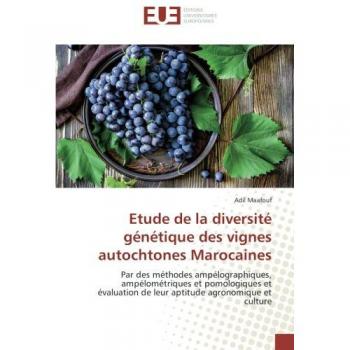 Etude de la diversité génétique des vignes autochtones Marocaines: Par des méthodes ampélographiques, ampélométriques et pomologiques et évaluation de leur aptitude agronomique et culture